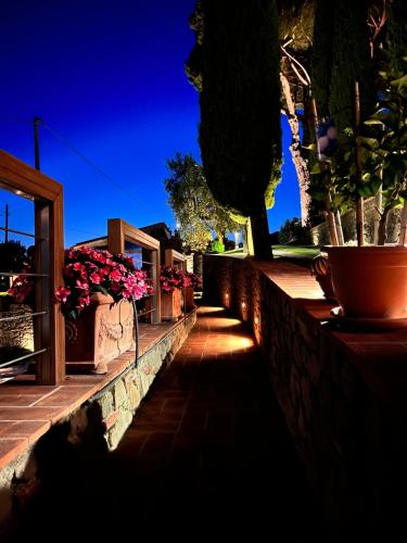 Villa l'Uliveta 5