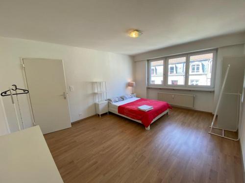 Beautiful Apartment in Center of Küblis