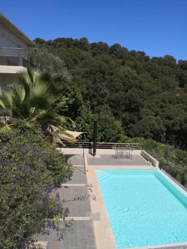 Studio moderne magnifique vue sur mer dans cadre calme et verdoyant - Location saisonnière - Furiani