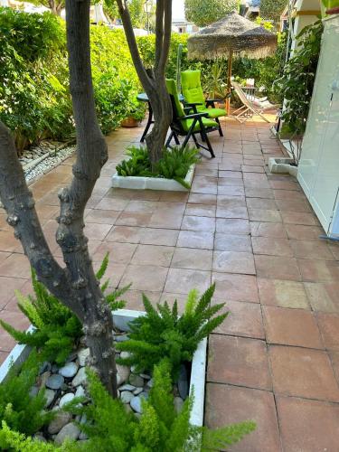Duplex Vera - Playa, Vera (fotografie 6)