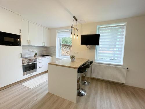 Apartmán U Náměstí (Apartman U Namesti) in โปโดลี