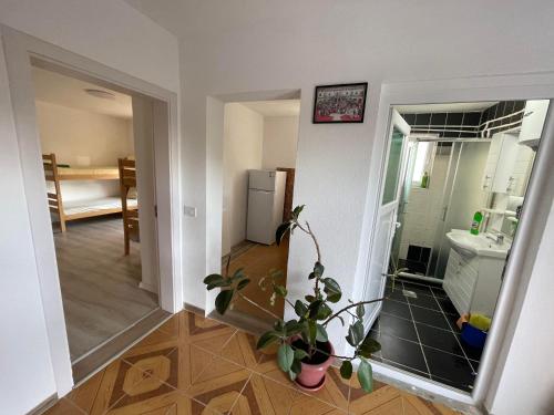 Rock Hostel in Пріштіна