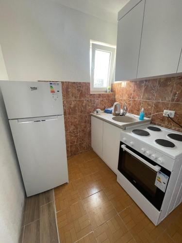 Rock Hostel in Пріштіна