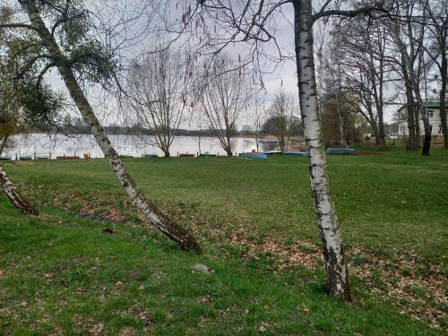 Skats, Urlaub im Bungalow in Löcknitz am See (Urlaub im Bungalow in Locknitz am See) in Locknitz