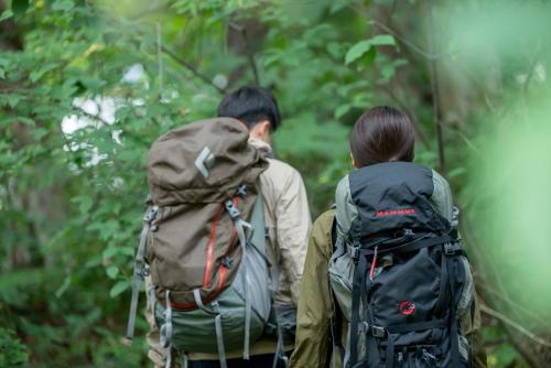 호텔 스텔레 벨