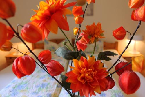 Pension Stoi budget guesthouse - image 3