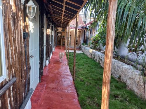 Casa Ufelinai in Tulum, Mexico