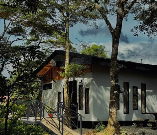 Bungalow Roca Verde Monteverde