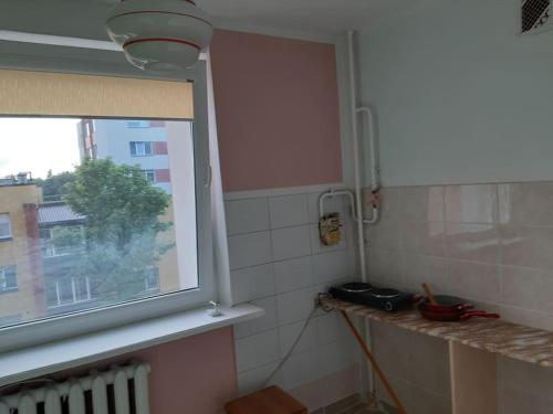 Independent apartment in varena