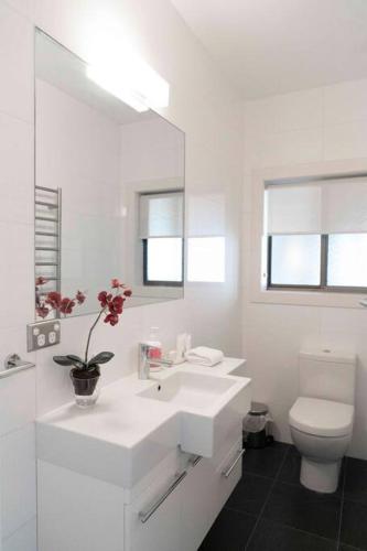 The Hideaway by Gatt Wines