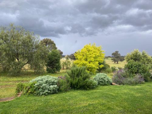 Kilátás, Meander Retreat - King Suite with rural views in Springton