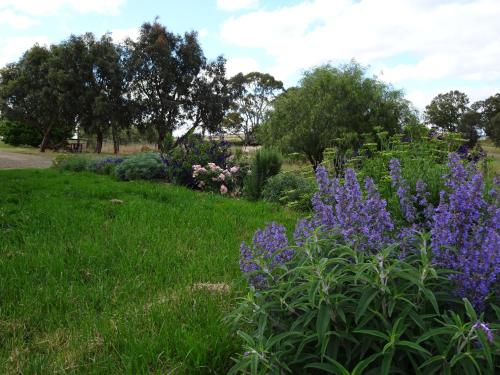 Kert, Meander Retreat - King Suite with rural views in Springton