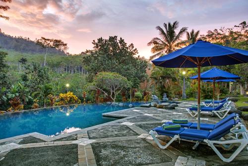Swimming pool, Margo Utomo Hill View Resort by Tripletree in Kalibaru