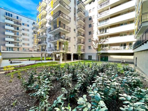 West Budapest-Edge of Downtown-Free Parking, Budapest (photo 4)