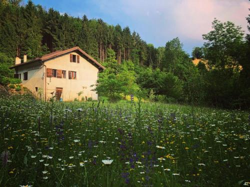  Alla Casetta B&B, Unterkunft in Cesiomaggiore