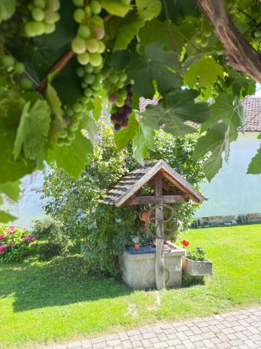 Pension Buch, Bed and Breakfast