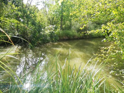 景觀, Naturaleza-Gîte les Cèdres (Naturaleza-Gite les Cedres) in 圖爾農達熱奈
