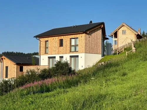 Berglisl - direkt an der Schipiste! Neue Ferienwohnung mit Sauna in Klippitztorl, Österreich