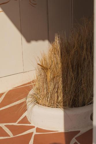 Hotel Llevant - image 4