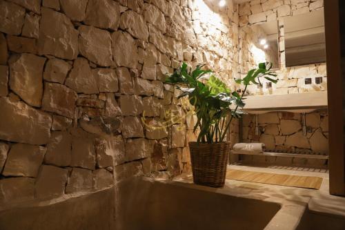 Trulli & Dimore - I Trulli di Carole - main image