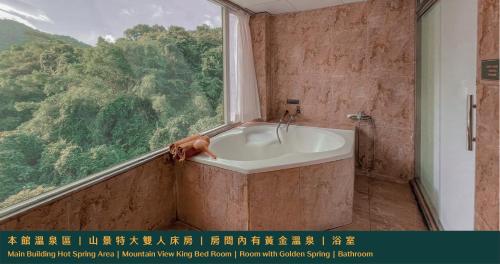Bathroom, Ruixiong Hotspring Villa in Ruisui Township