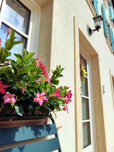 Stanza Allegra Soave