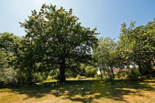 Domaine La Faix, Gite La Chouette