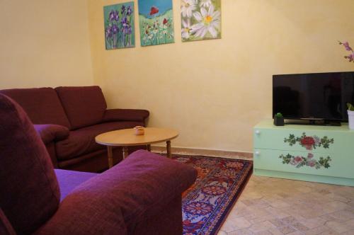 Apartment Istriana