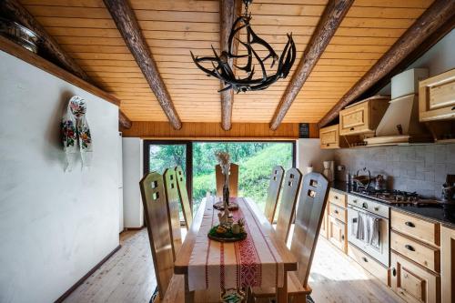virtuve, Cabana din Revier in Viseu De Jos