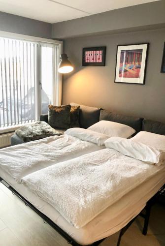 Modern 2 bedroom apartment in Oslo city centre, Oslo (foto 7)