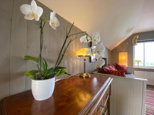 B&B Borgunda - image 2