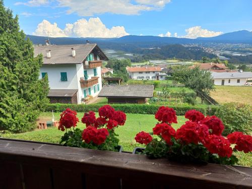  Sentieri in Castelfondo