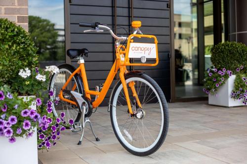 Foto - Canopy By Hilton Charlotte SouthPark