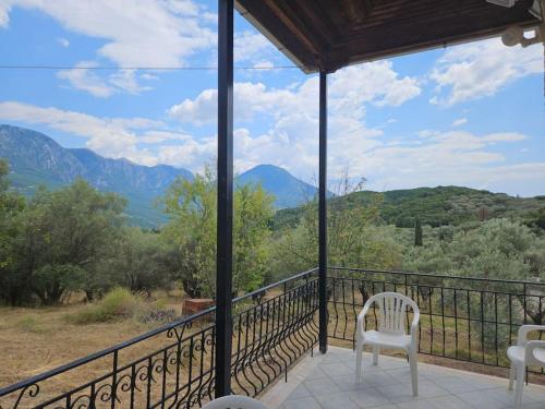 Surrounding environment, Ελαιωνας με θεα στο βουνο in Paramythia