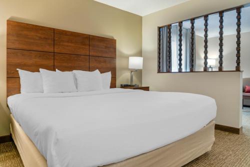 1 king bed