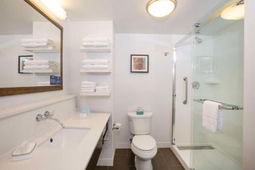 Hampton Inn & Suites - Cincinnati/Kenwood OH - image 2