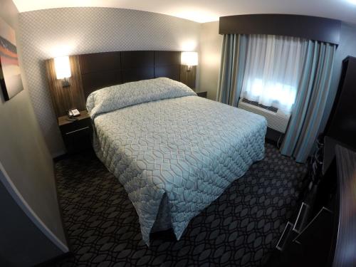 King Room - Non-Smoking