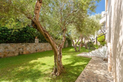 Villa Tzina - image 8