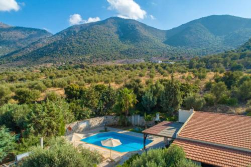  Villa with Private Pool image 10