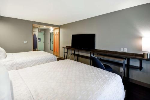 Tru by Hilton Sterling Heights Detroit Room Type - 2 QUEEN BEDS