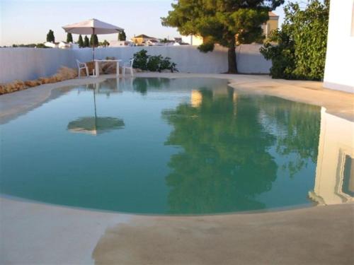 Swimming pool, Quinta Teresinha in Estombar