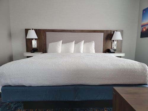 Hampton Inn & Suites Erie Bayfront - image 13