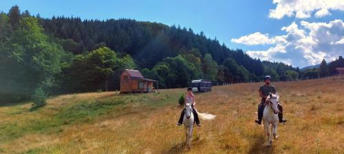 Unique off-grid cabin in raw nature: Bucephalus