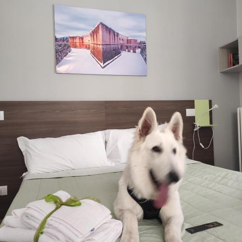  La Terrazza del Quarto in LʼAquila