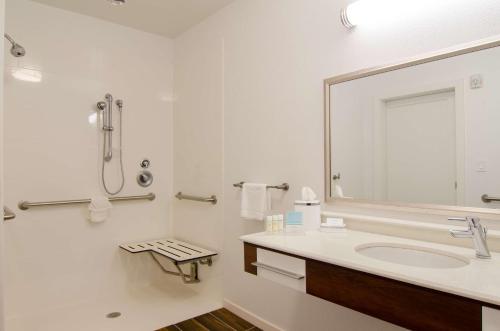 浴室, Hampton Inn & Suites Huntsville in 亨茨維爾(TX)