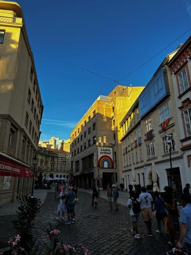 Luxury PENTHOUSE at the Historical Centre Parking, Bratislava (fotografie 7)