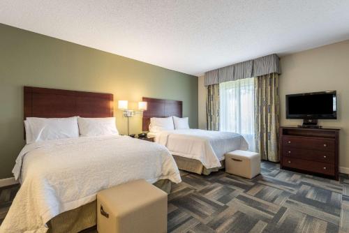 Queen Studio Suite with Two Queen Beds and Sofa Bed - Non-Smoking image 5