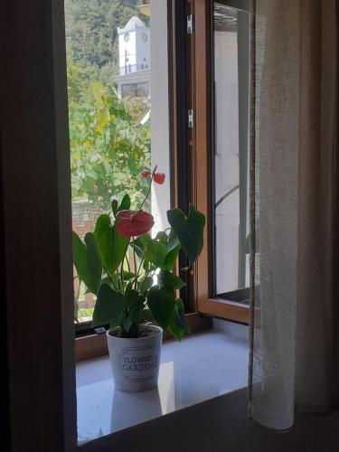 Springs House gîte à louer Panayía