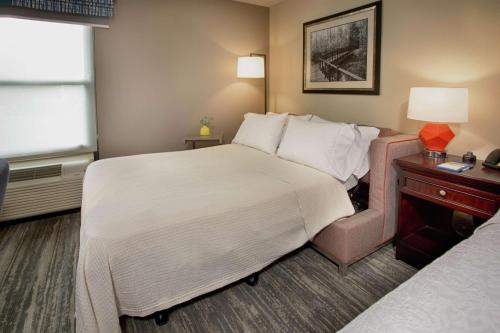 1 king bed, 1 sofa bed