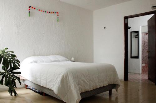 La casa de la abundancia in Mérida, Mexico